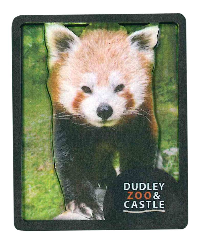DZC Raised Wooden Magnet Red Panda